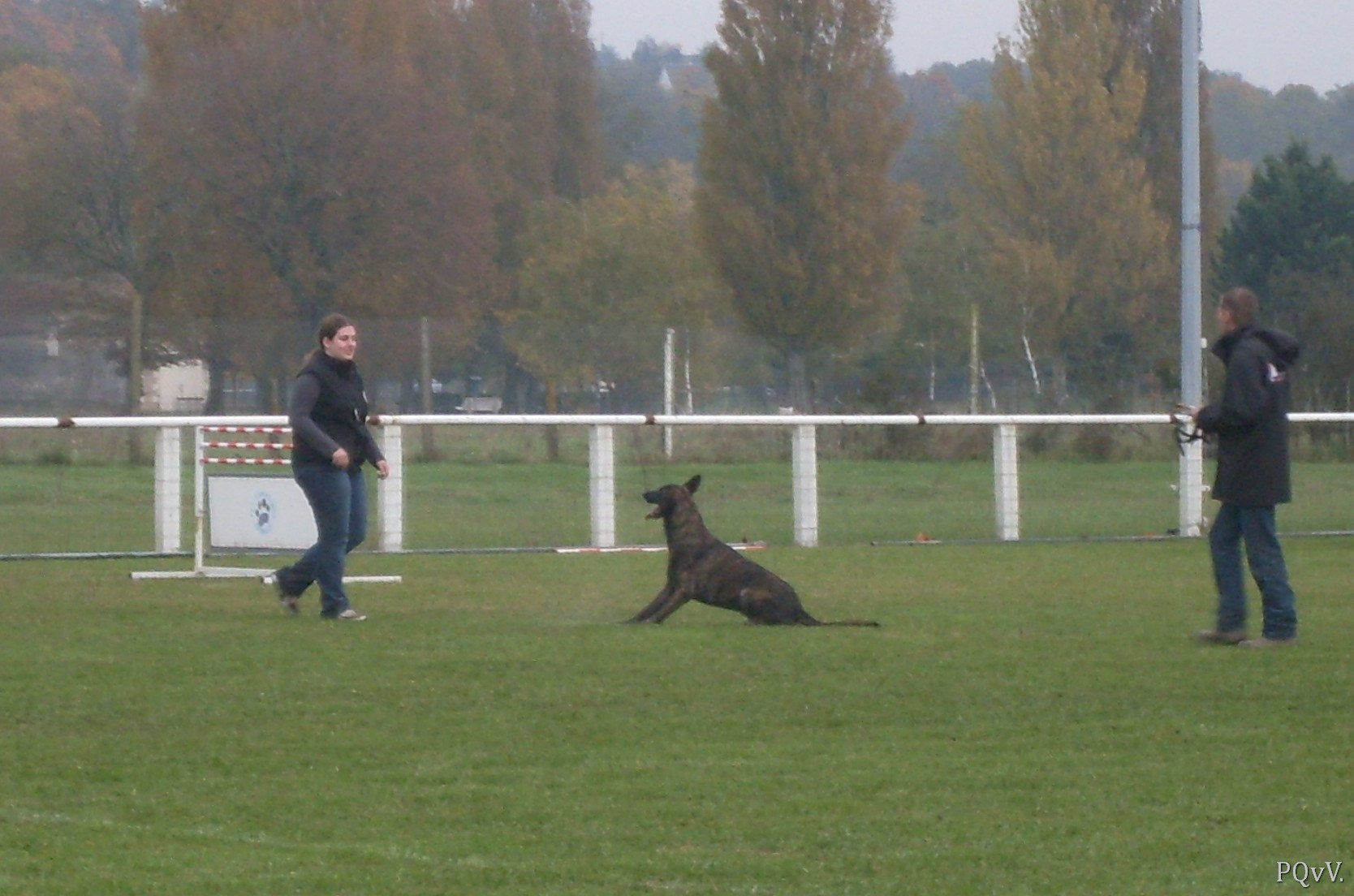 Eros des Crocs d’Olympe